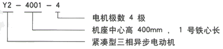 YR系列(H355-1000)高压YKK6301-12/560KW三相异步电机西安西玛电机型号说明